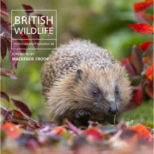 Graffeg Limited British Wildlife Photography Awards 14 (inbunden, eng)
