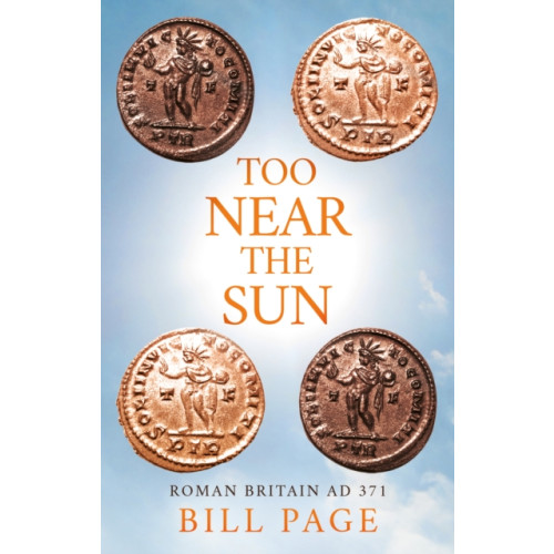 Troubador Publishing Too Near the Sun (häftad, eng)