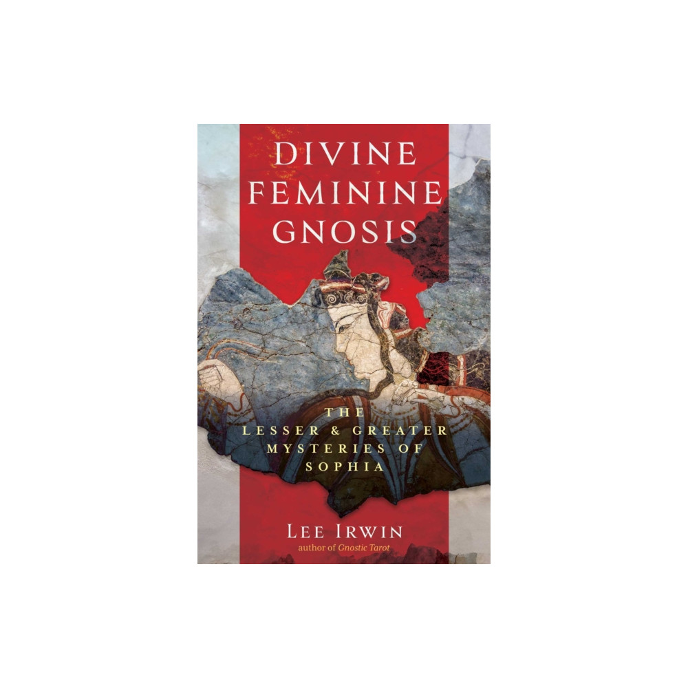 Produktbild för Divine Feminine Gnosis (häftad, eng)