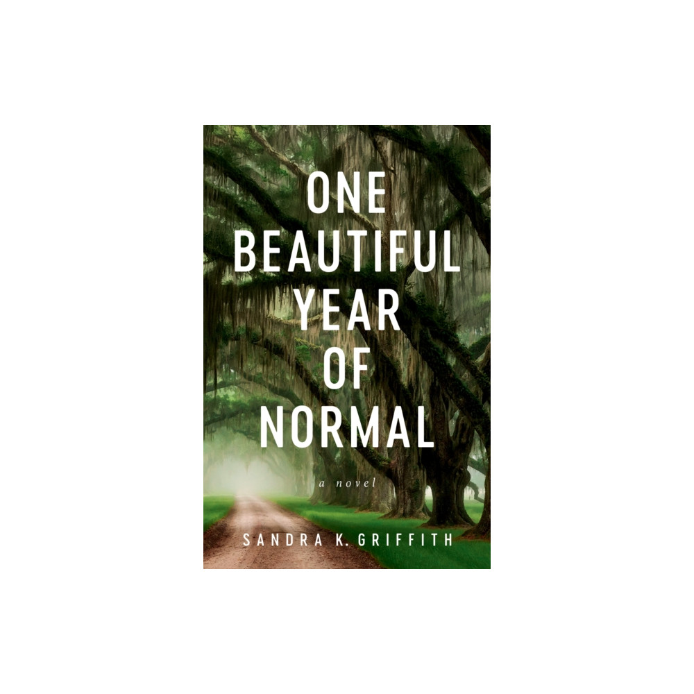 Produktbild för One Beautiful Year of Normal (häftad, eng)