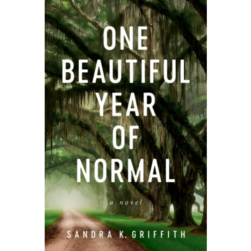 She Writes Press One Beautiful Year of Normal (häftad, eng)
