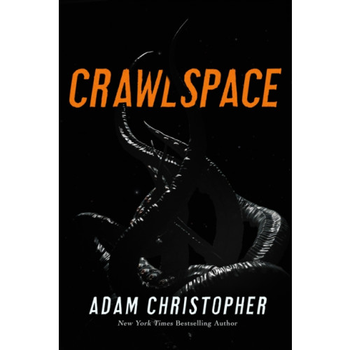 St Martin's Press Crawlspace (häftad, eng)