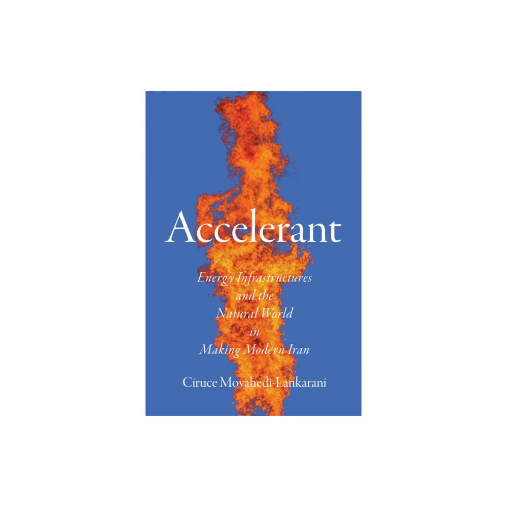 Produktbild för Accelerant (häftad, eng)