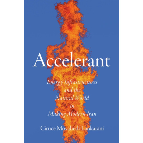 Stanford university press Accelerant (häftad, eng)