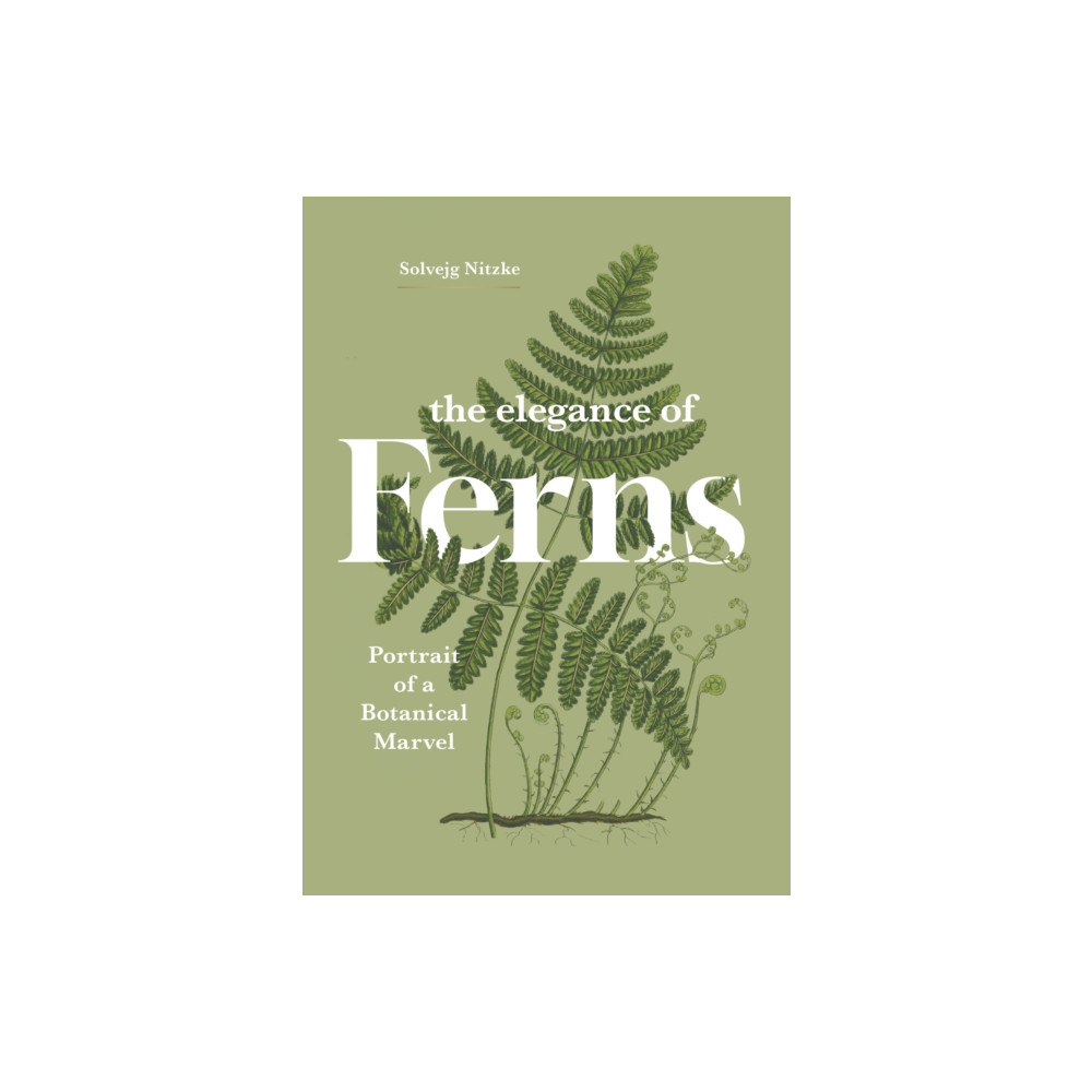 Produktbild för The Elegance of Ferns (inbunden, eng)