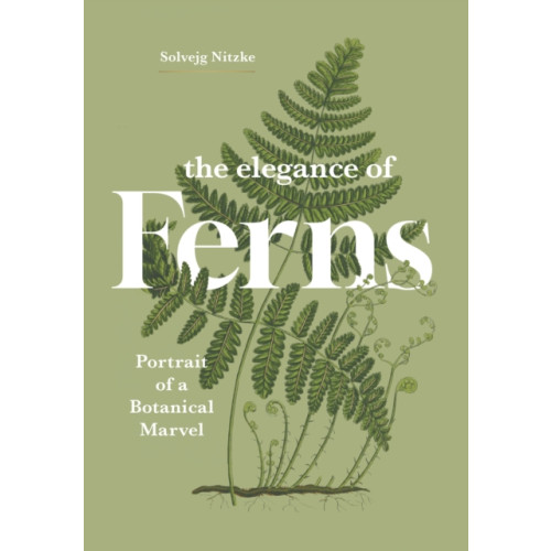 Greystone Books,Canada The Elegance of Ferns (inbunden, eng)