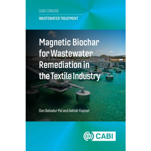 CABI Publishing Magnetic Biochar for Wastewater Remediation in the Textile Industry (häftad, eng)