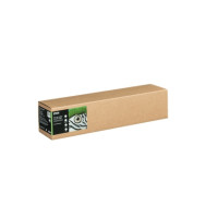 Produktbild för Epson Fine Art II - lumppapper - slät matt - 1 rulle (rullar) - Rulle (61 cm x 15 m) - 300 g/m²