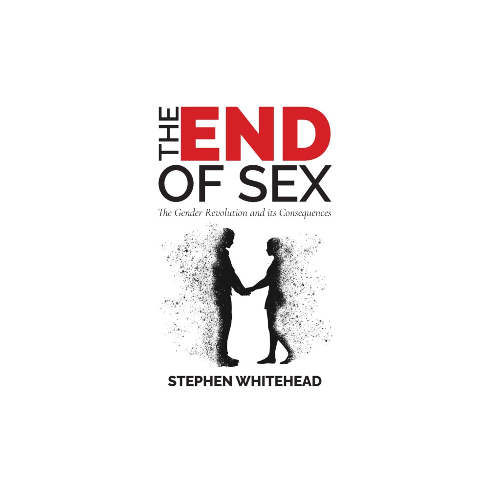 Produktbild för The End of Sex (häftad, eng)