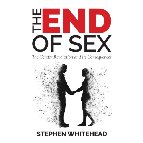 Andrews UK Limited The End of Sex (häftad, eng)