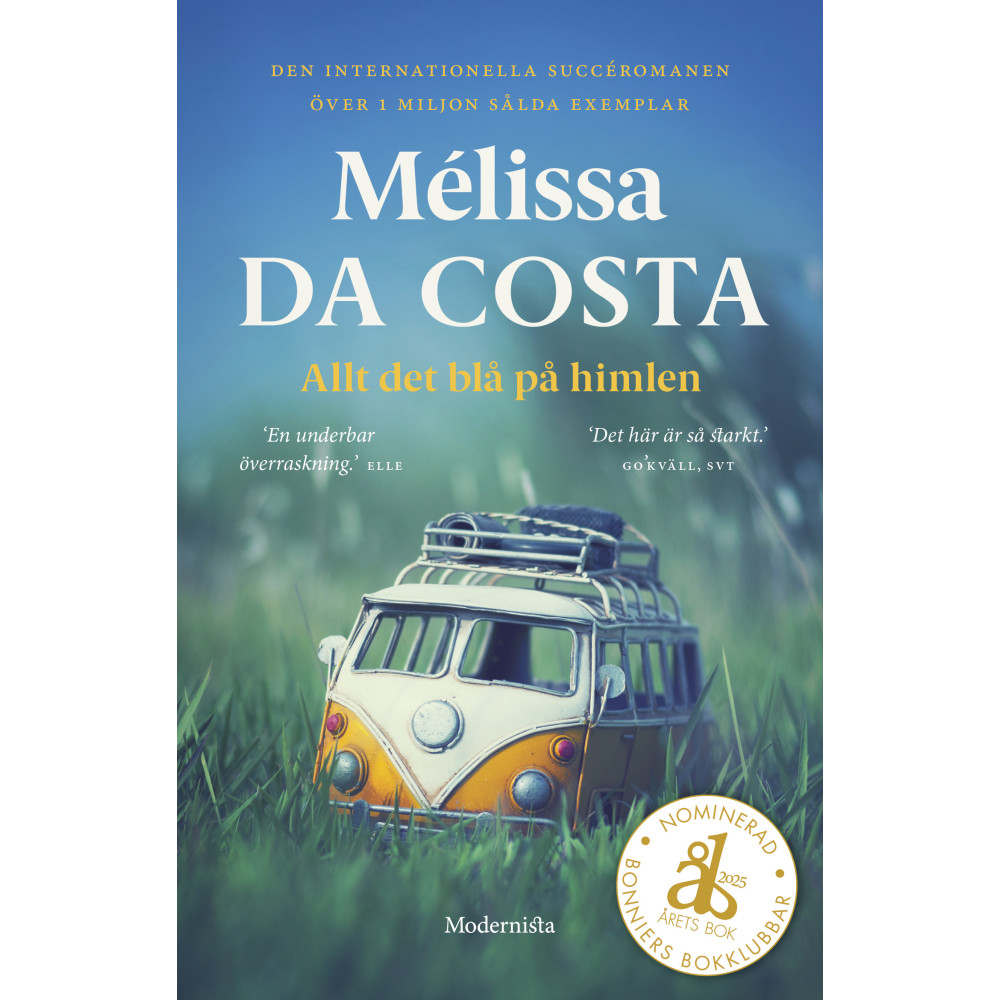 Produktbild för Allt det blå på himlen (bok, storpocket)