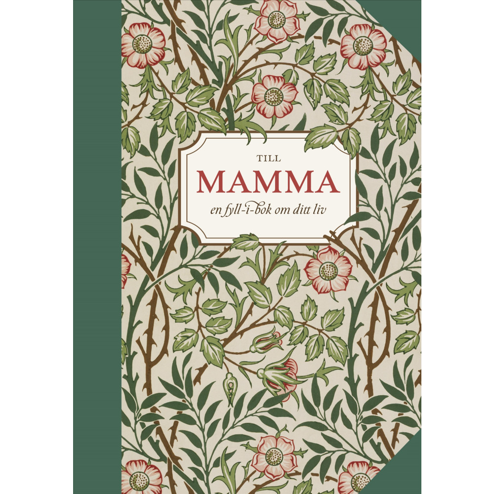 Produktbild för Till mamma : en fyll-i-bok om ditt liv (inbunden)