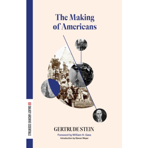 Dalkey Archive Press The Making of Americans (häftad, eng)