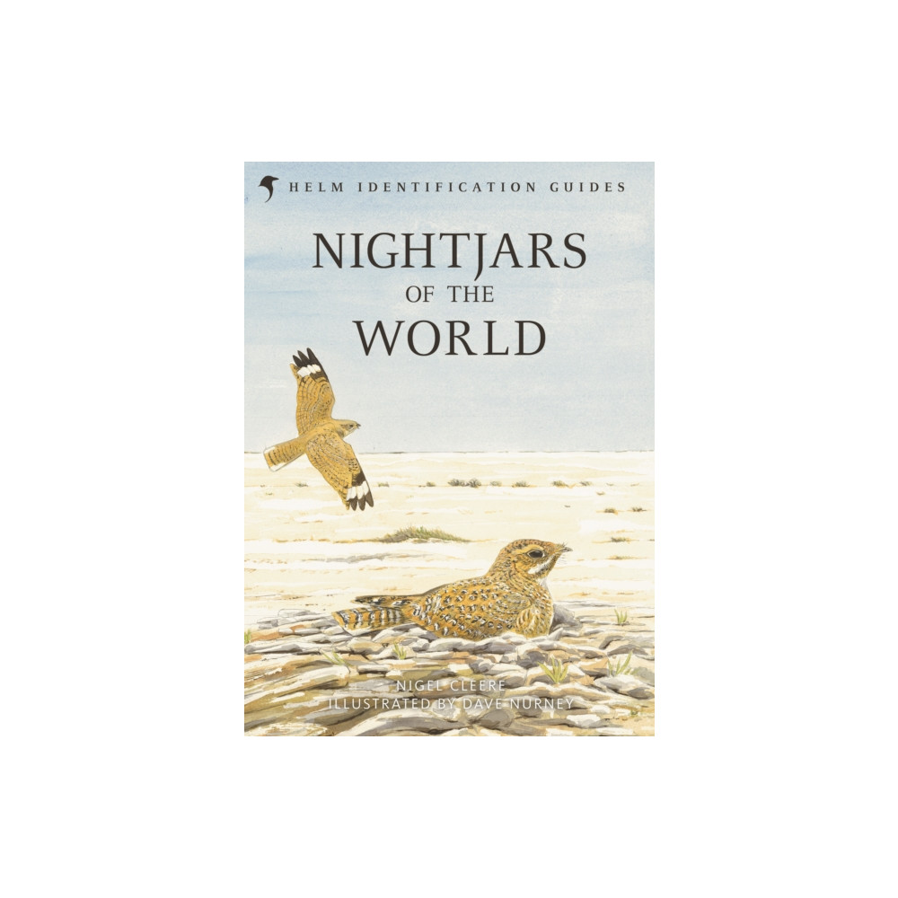 Produktbild för Nightjars of the World (inbunden, eng)