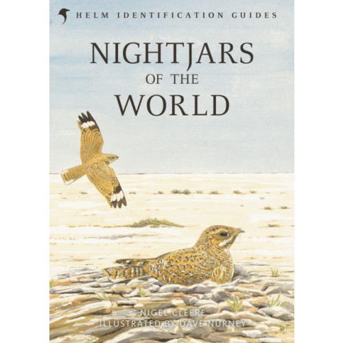 Bloomsbury Publishing PLC Nightjars of the World (inbunden, eng)