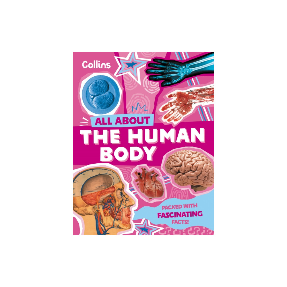 Produktbild för The Human Body (häftad, eng)