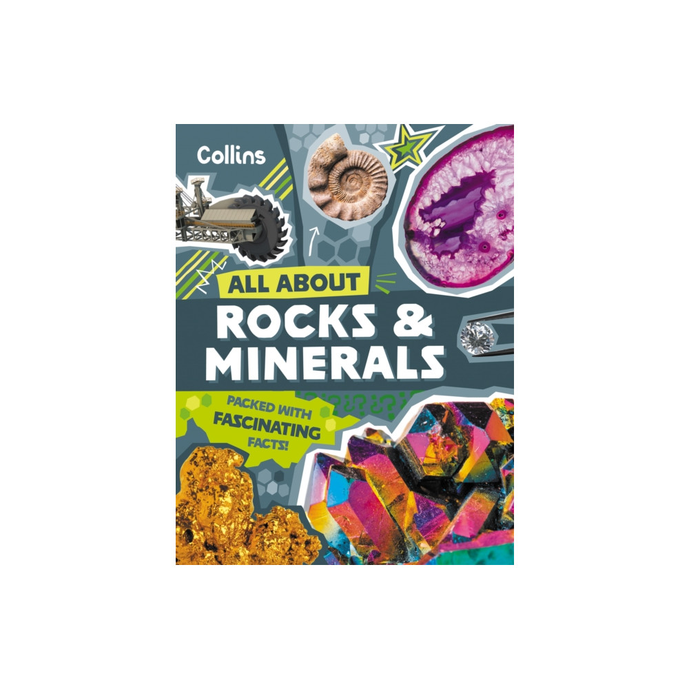 Produktbild för Rocks and Minerals (häftad, eng)