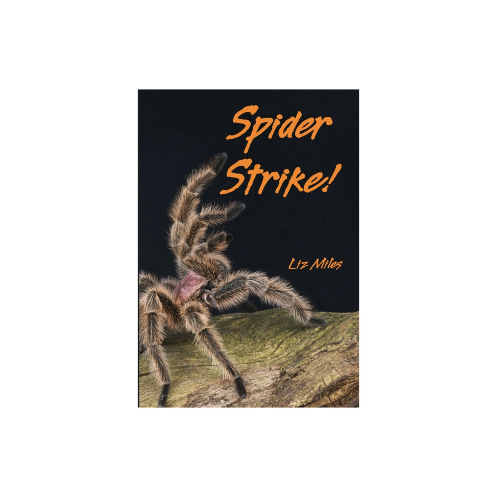 Produktbild för Spider Strike! (häftad, eng)