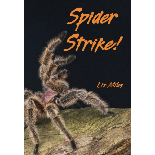 HarperCollins Publishers Spider Strike! (häftad, eng)
