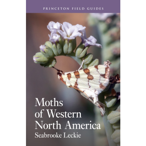 Princeton University Press Moths of Western North America (häftad, eng)
