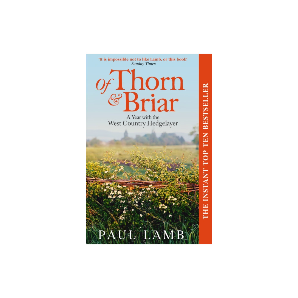 Produktbild för Of Thorn & Briar (häftad, eng)
