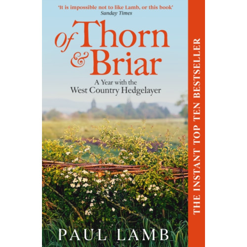 Simon & Schuster Ltd Of Thorn & Briar (häftad, eng)