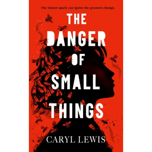 Simon & Schuster Ltd The Danger of Small Things (inbunden, eng)