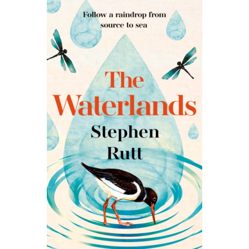 Elliott & Thompson Limited The Waterlands (inbunden, eng)