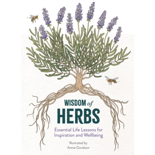 Michael O'Mara Books Ltd Wisdom of Herbs (inbunden, eng)