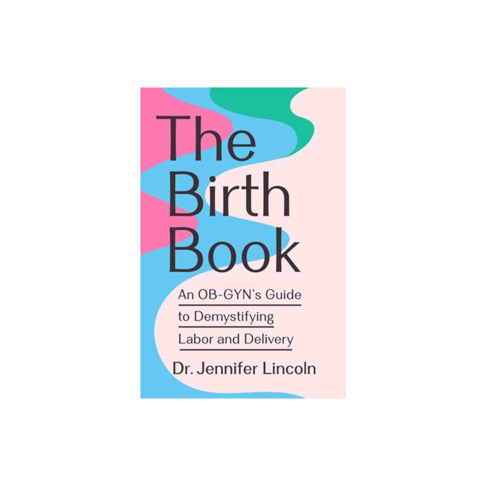 Produktbild för The Birth Book (häftad, eng)