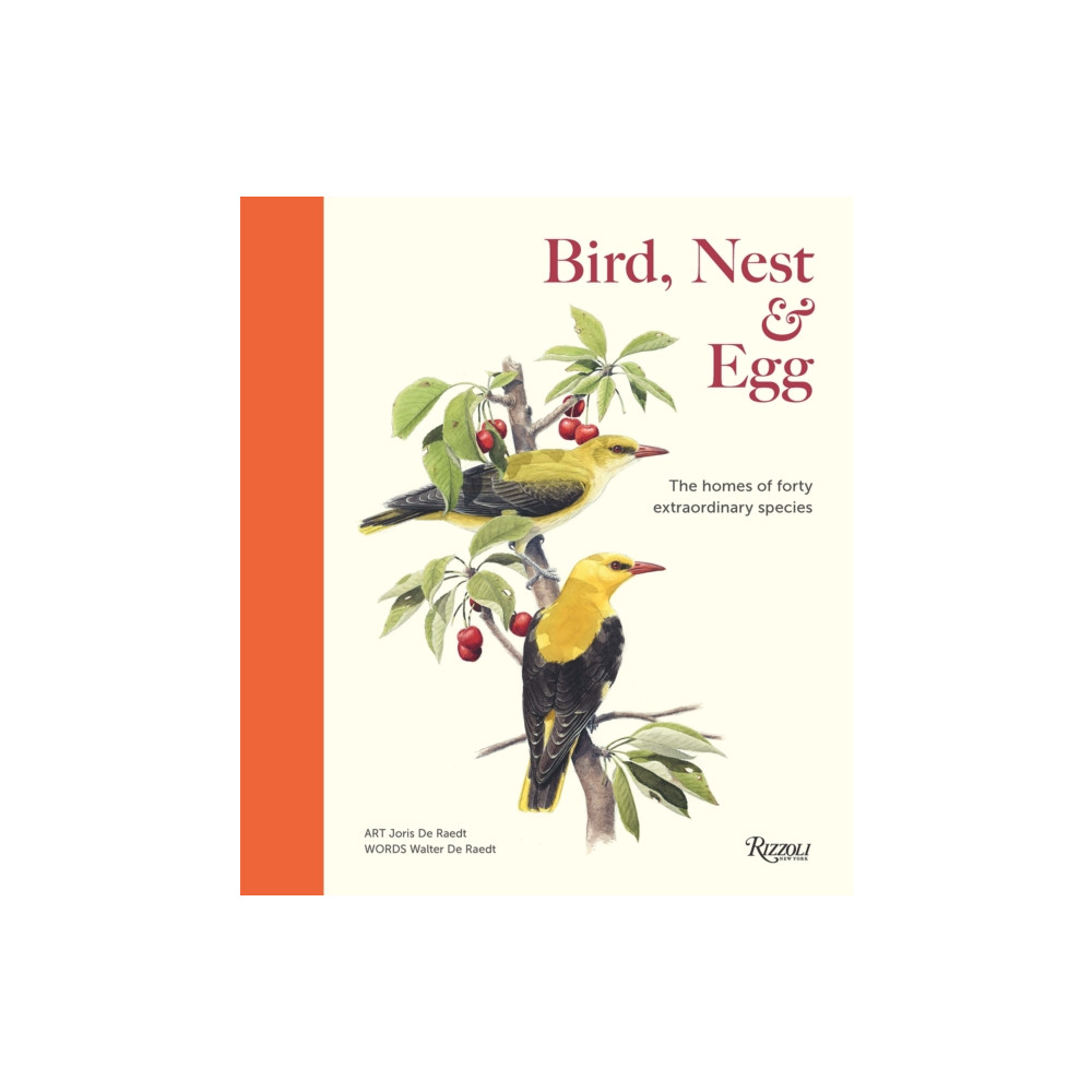 Produktbild för Bird, Nest & Egg (inbunden, eng)