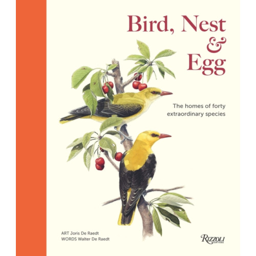 Rizzoli International Publications Bird, Nest & Egg (inbunden, eng)