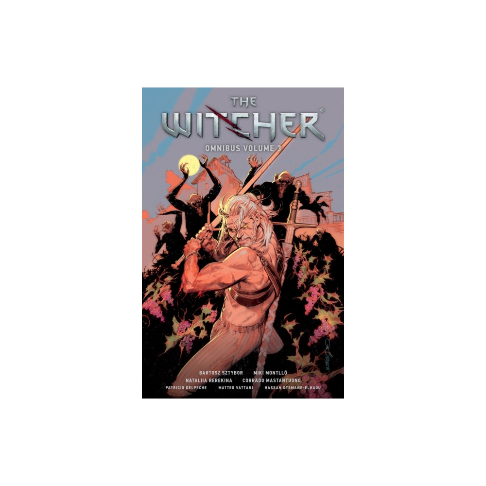Produktbild för The Witcher Omnibus Volume 3 (häftad, eng)