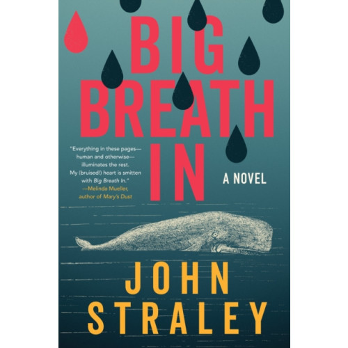 Soho Press Big Breath In (häftad, eng)