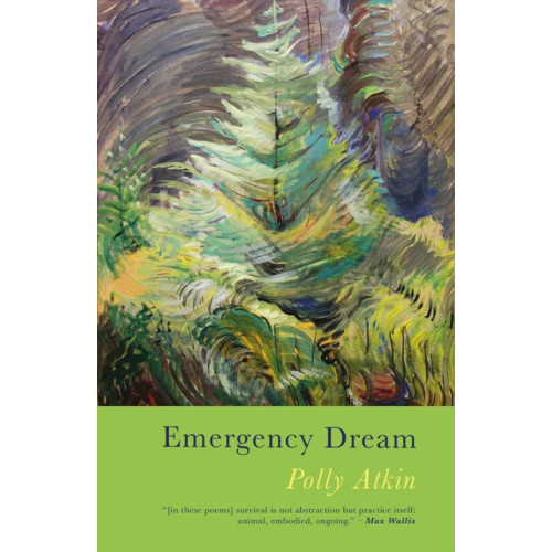 Poetry Wales Press Emergency Dream (häftad, eng)