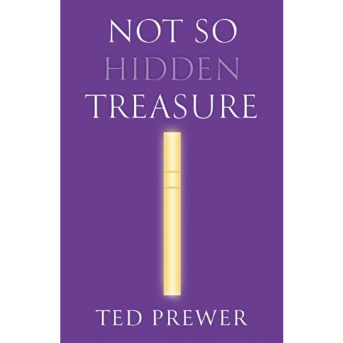 Troubador Publishing Not So Hidden Treasure (häftad, eng)