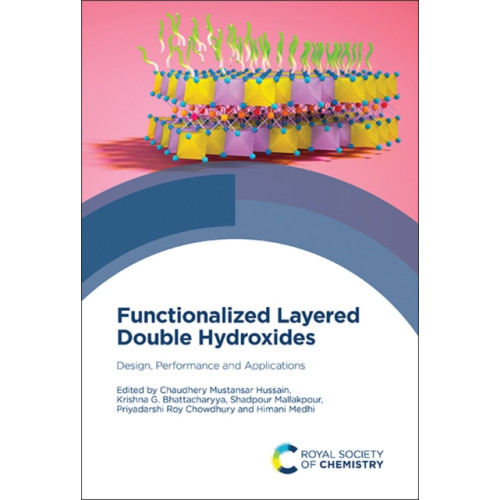 Royal Society of Chemistry Functionalized Layered Double Hydroxides (inbunden, eng)