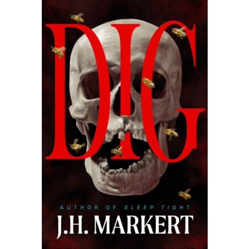Crooked Lane Books Dig (häftad, eng)