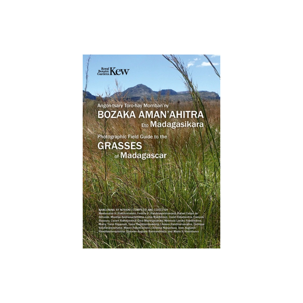 Produktbild för Field Guide of Common Grasses of Madagascar (häftad, eng)