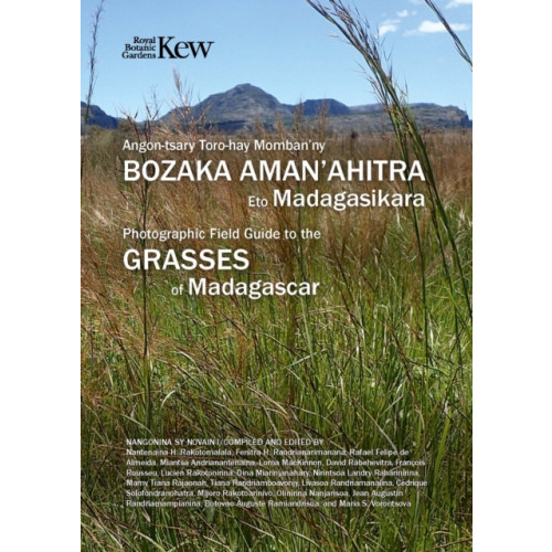 Royal Botanic Gardens Field Guide of Common Grasses of Madagascar (häftad, eng)