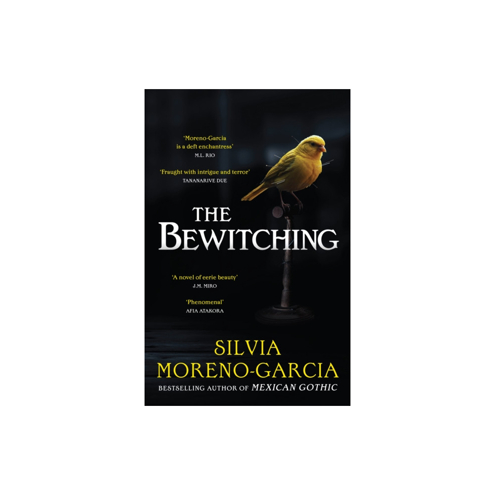 Produktbild för The Bewitching (häftad, eng)