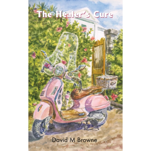 Austin Macauley Publishers The Healer’s Cure (häftad, eng)