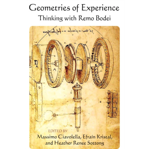 State University of New York Press Geometries of Experience (inbunden, eng)