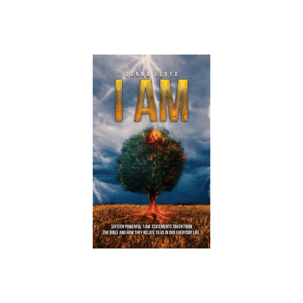 Produktbild för I Am (häftad, eng)