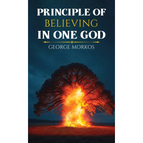 Austin Macauley Publishers Principle of Believing in One God (häftad, eng)