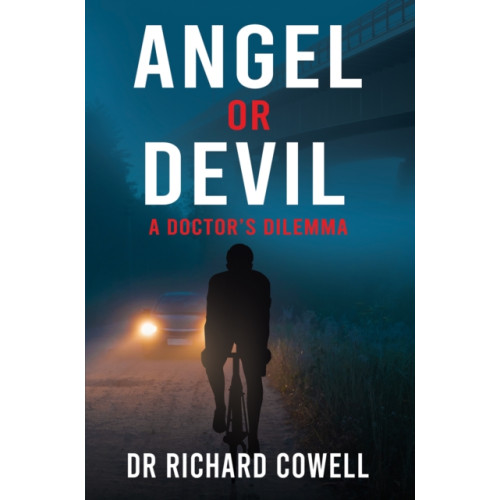 Austin Macauley Publishers Angel or Devil (häftad, eng)