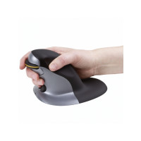 Produktbild för Fellowes Penguin Large - vertikal mus - 2.4 GHz - svart, silver