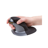 Produktbild för Fellowes Penguin Large - vertikal mus - 2.4 GHz - svart, silver