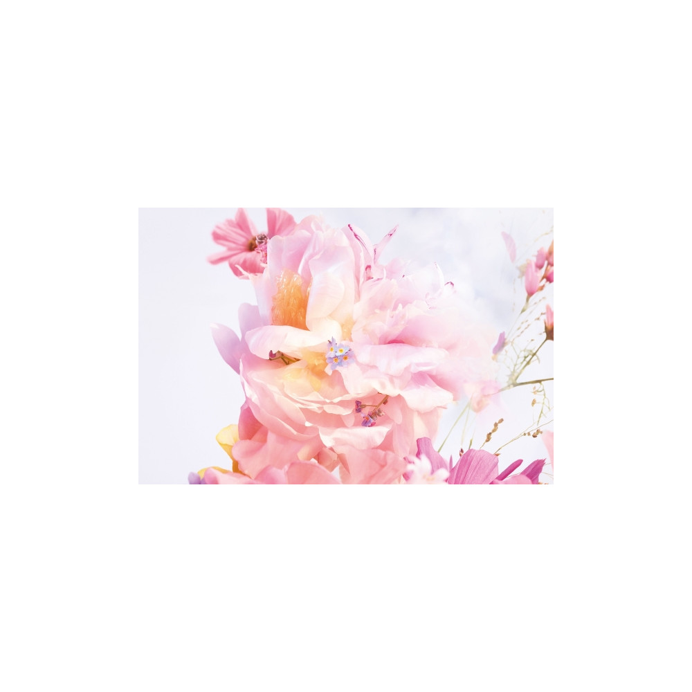 Produktbild för Dior Miss Dior Blooming Bouquet 2023 Eau De Toilette 50 ml (...