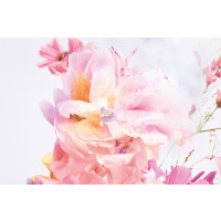 Produktbild för Dior Miss Dior Blooming Bouquet 2023 Eau De Toilette 50 ml (...